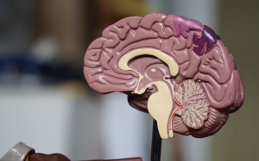 Alzheimer’s risk latest: noise, exercise and HRT